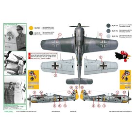 Exito DECALS 1:48 Focke Wulf Fw-190 - WULF PACK - VOL.2