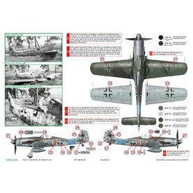 Exito DECALS 1:48 Focke Wulf Fw-190 - WULF PACK - VOL.2