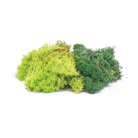 Humbrol R7194 Skale Scenics Lichen - Green Mix