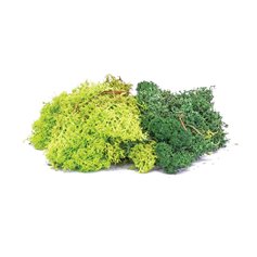 Humbrol R7194 Skale Scenics Lichen - Green Mix