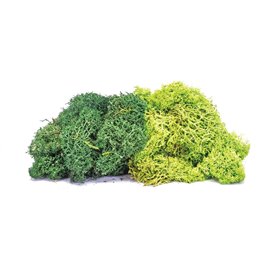 Humbrol R7195 Skale Scenics Lichen - Large Green Mix