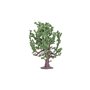 Humbrol R7209 Skale Scenics Oak Tree