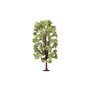 Humbrol R7221 SKALE SCENICS - LIME TREE