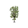 Humbrol R7222 Skale Scenics Horse-Chestnut Tree 19,5 cm
