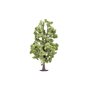 Humbrol R7223 SKALE SCENICS - LIME TREE