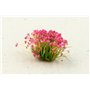 Paint Forge Kępki kwiatów MOON ASTER FLOWERS – 6mm