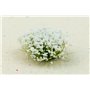 Paint Forge Kępki kwiatów WHITE MYRTHE FLOWERS – 6mm