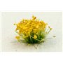 Paint Forge Kępki kwiatów OCHRE FLOWERS - 6mm