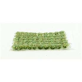 Summer Flowers 6mm