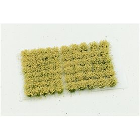 Beige Flowers 6mm