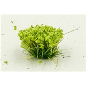 Light Green Flowers 6mm