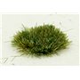 Kępki trawy Glade Green 2mm