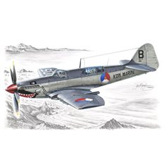 Special Hobby 1:48 Fairey Firefly Mk.IV / Mk.V / Mk.VI - FOREIGN SERVICE 