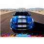 ZP1218 - 2010 Ford Mustang Shelby Brilliant Silver