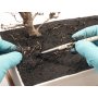 MIG Europe Dry Mud Fine- sucha ziemia gładka