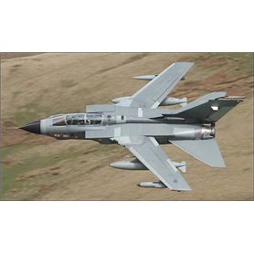 ZP1295 RAF Medium Sea Grey Paint - 60ml