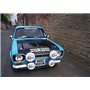 ZP1317 - Ford Escort Mk1 WRC Blue Paint 60ml (Belk