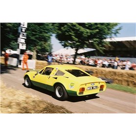 ZP1298 - BP Green and Yellow Paints - 2x30ml\t
