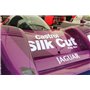 ZP1331 - Jaguar XJR-14 Purple Paint 60ml\t