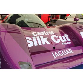 ZP1331 - Jaguar XJR-14 Purple Paint 60ml\t