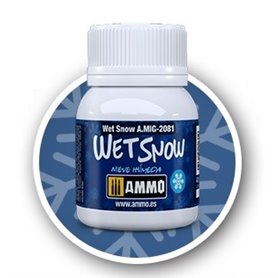 Ammo of MIG 2801 WET SNOW