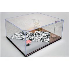 Trumpeter-Master Tools 09849  Diorama display case