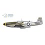 Arma Hobby 1:72 North American F-6C Mustang - EXPERT SET