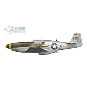 Arma Hobby 70040 F-6C Mustang Expert set