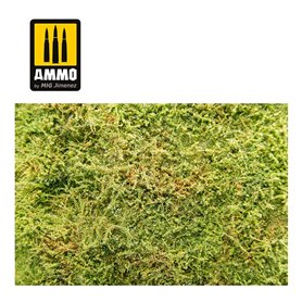 Wilderness Fields with bushes - spring