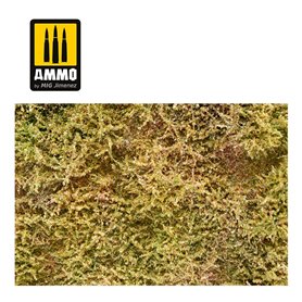 Wilderness Fields with bushes - late sum