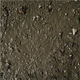 AK Interactive Terrains Wet Ground / 250ml 