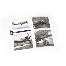 Eduard 1:48 THE ULTIMATE TEMPEST - LIMITED edition