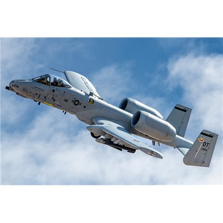 HOBBY BOSS 81796 A-10C Thunderbolt II - 1:48