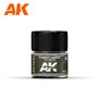 AK Interactive REAL COLORS RC027 Forest Green - FS 34079 - 10ml