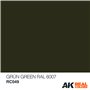 AK Interactive REAL COLORS RC049 Grun-Green - RAL 6007 - 10ml