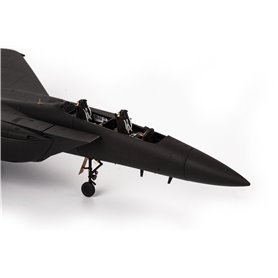 Eduard ZOOM 1:72 F-15e