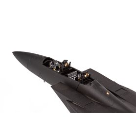 Eduard ZOOM 1:72 F-15e