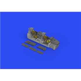 Eduard BIG SIN 1:48 F-14a Late