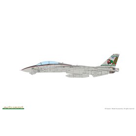 Eduard 1:48 Kalkomanie do Grumman F-14A dla Tamiya