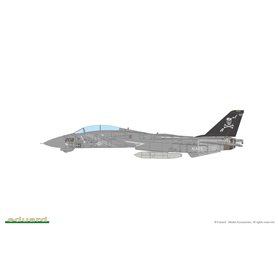 Eduard 1:48 Kalkomanie do Grumman F-14A dla Tamiya