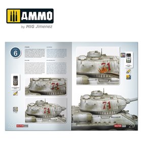 SOLUTION BOX MINI 20 How to paint