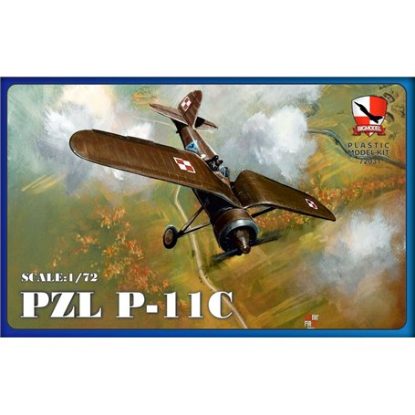 Big Model K72031 PZL P-11C