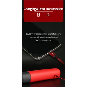 DSPIAE USB-LTG1