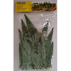 Model spruce, extra-high, 10 pieces, 16-19 cm high