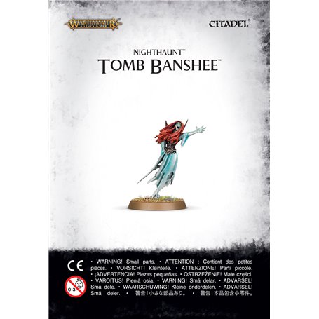 Warhammer AGE OF SIGMAR - NIGHTHAUNT: Tomb Banshee