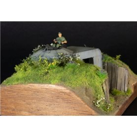 Toro 48A07 Tobruk Shelter