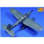 RS Models 92271 Arado Ar 199 "Early Version"