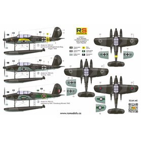 RS Models 92272 Arado Ar 199 "Late Version"