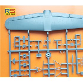 RS Models 94006 Arado Ar 199 V-5 Limited Edition