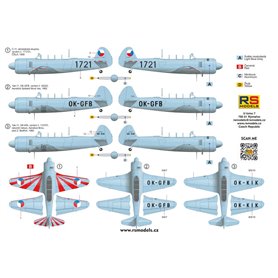 RS Models 94009 Yak-11 / C-11